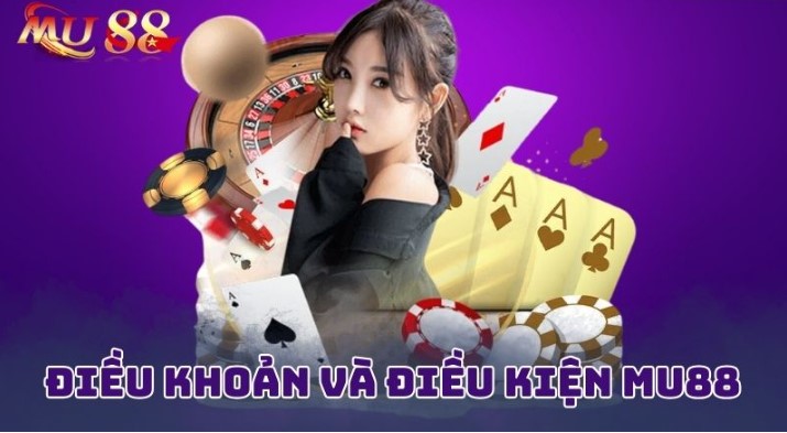 Điều khoản điều kiện chung